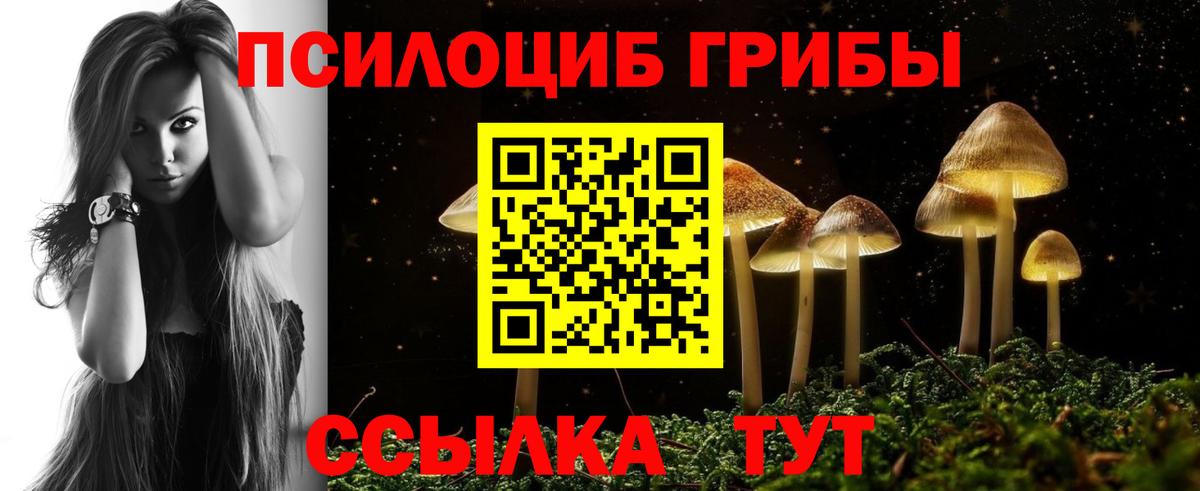 Псилоцибиновые грибы Psilocybine cubensis  закладки  Вход с VPN  Ачхой-Мартан  Псилоцибиновые грибы GOLDEN TEACHER 